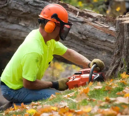 tree services Cockeysville